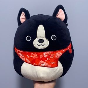 8” Teddy the Black Dog